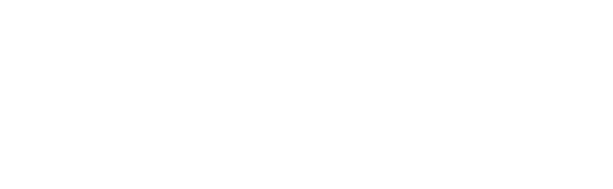 Frost-logo_white-01